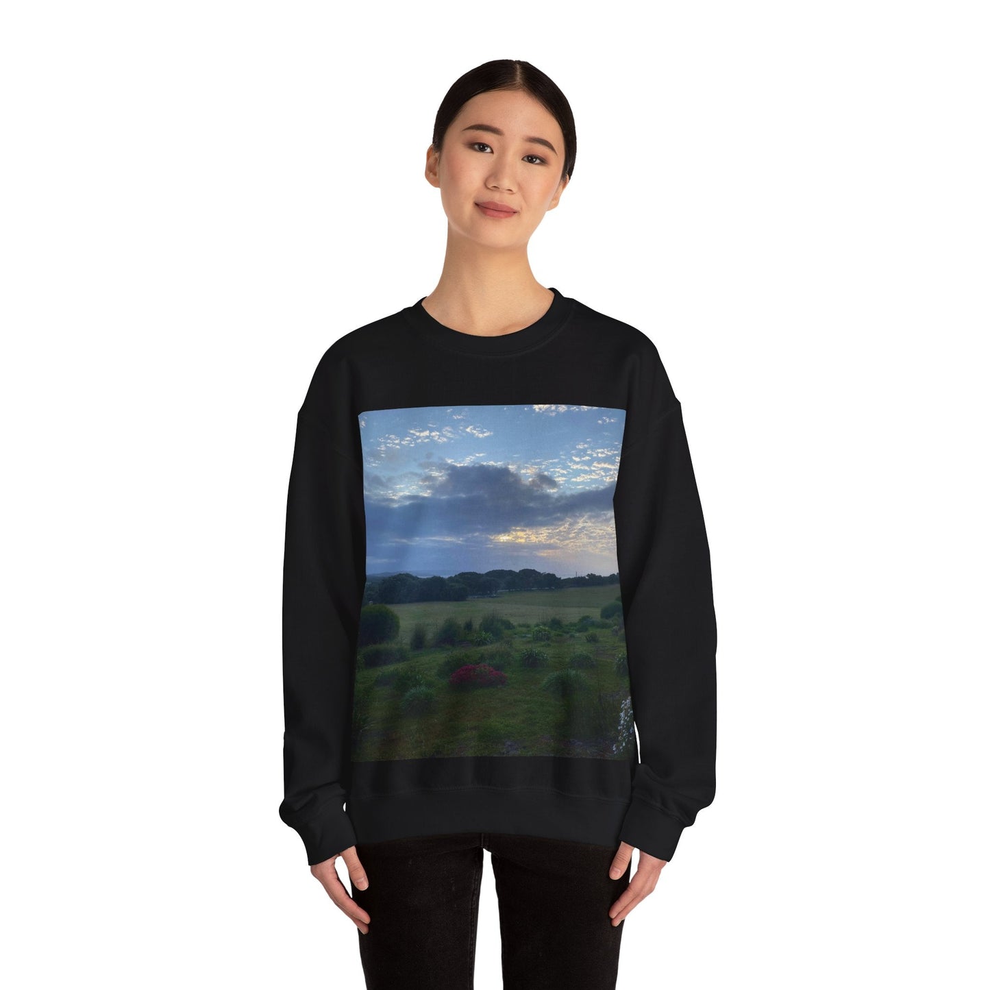 Magical Albany Unisex Heavy Blend™ Crewneck Sweatshirt Sweatshirt