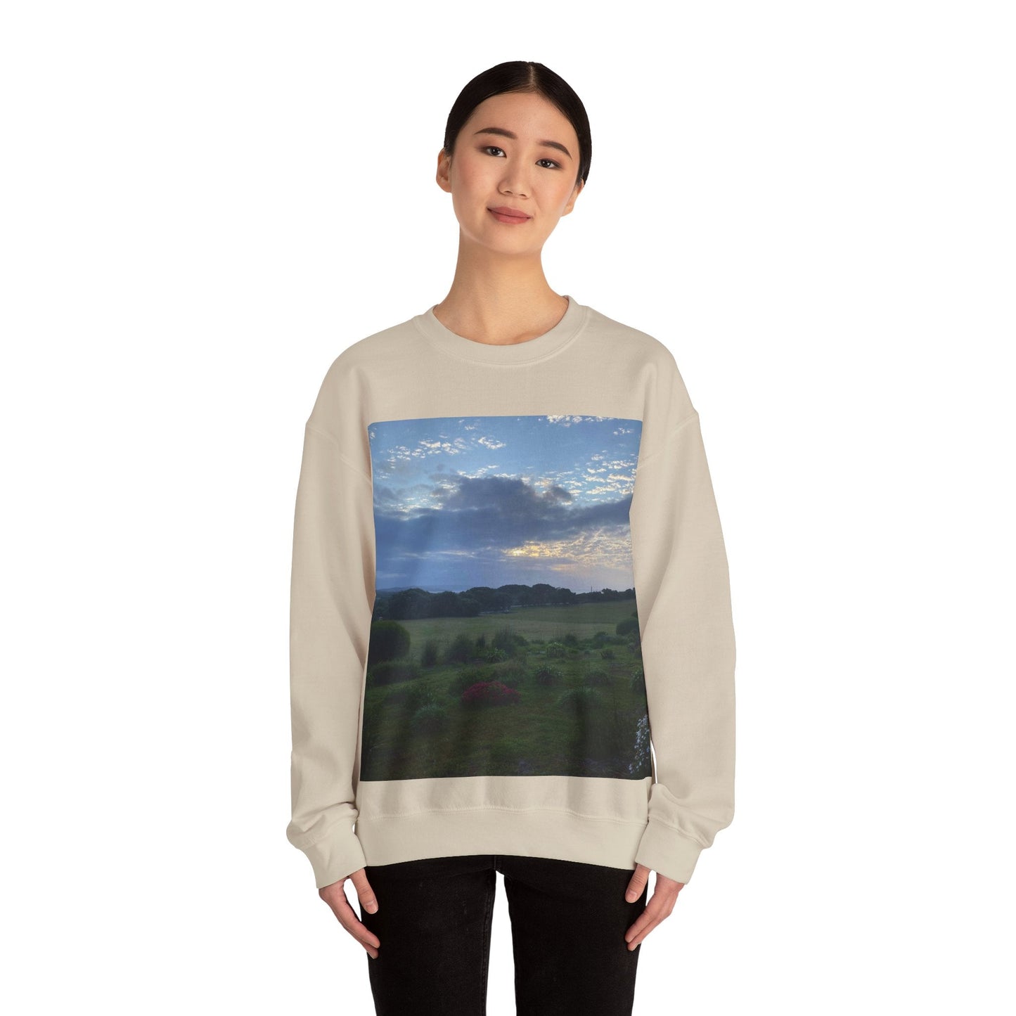 Magical Albany Unisex Heavy Blend™ Crewneck Sweatshirt Sweatshirt