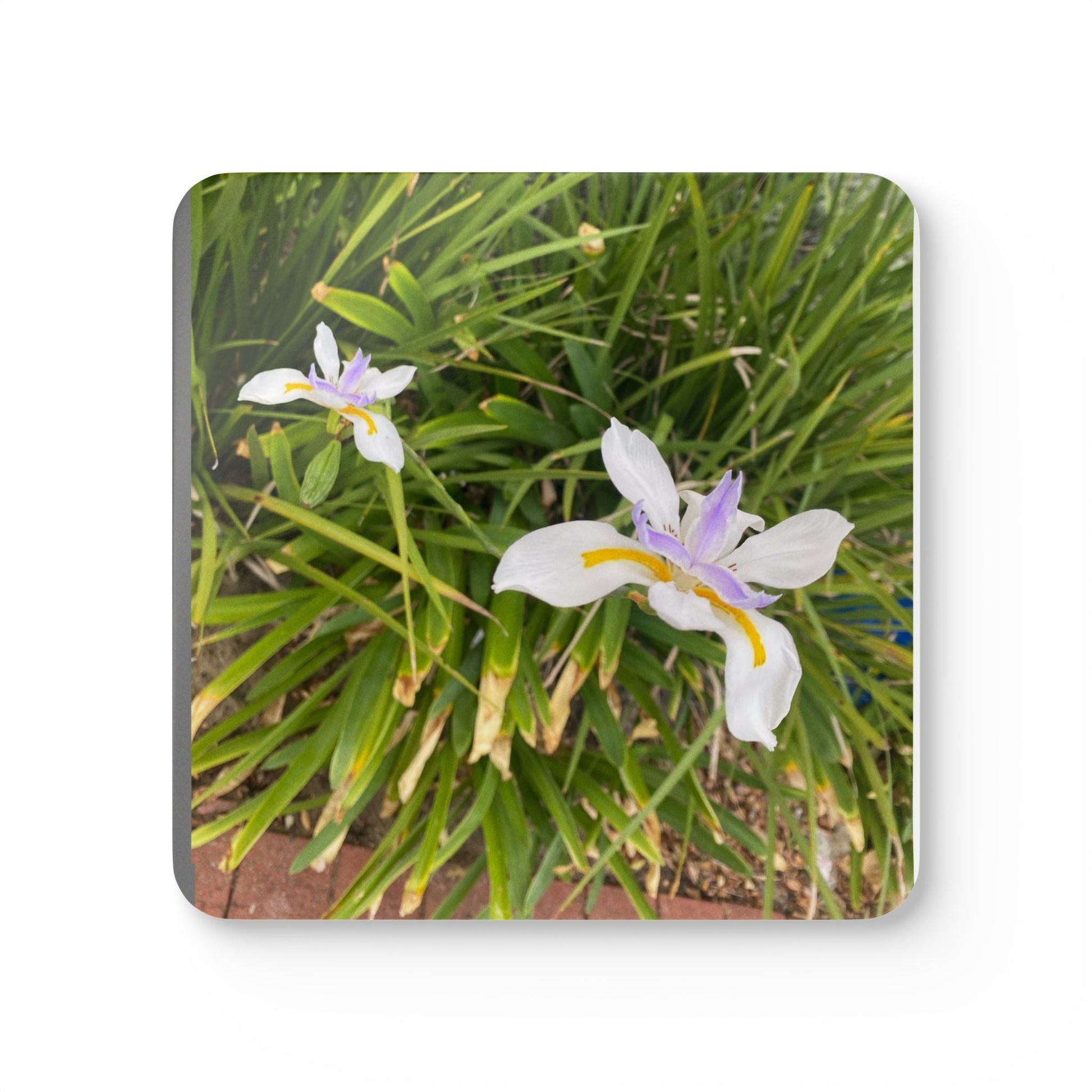 Cathylove Corkwood Coaster Set 20% Off Code: Home Decor