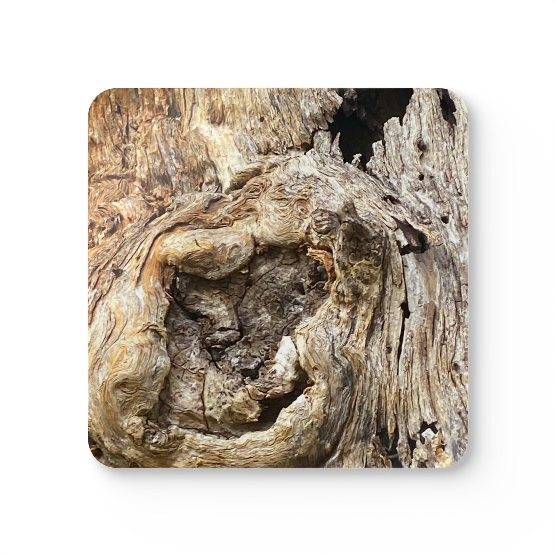 Tree Man - Faces Corkwood Coaster Set 20% Off Code: Treeman Home Decor